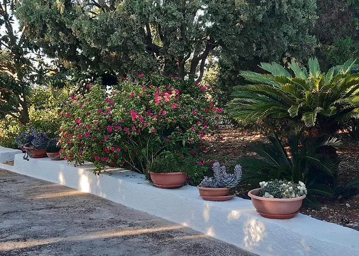 B&B Bell'aria Monopoli